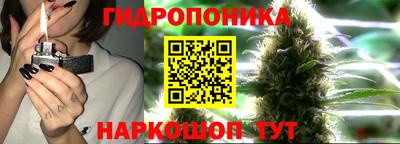 спайс Будённовск