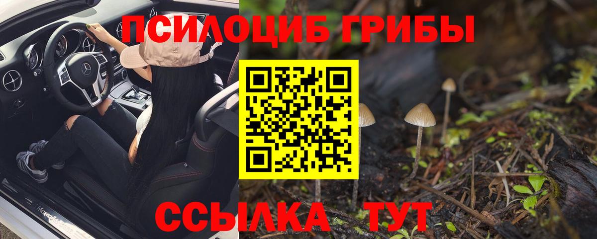 наркошоп  Галлюциногенные грибы прущие грибы  Махачкала  Вход с VPN  Псилоцибиновые грибы прущие грибы 
