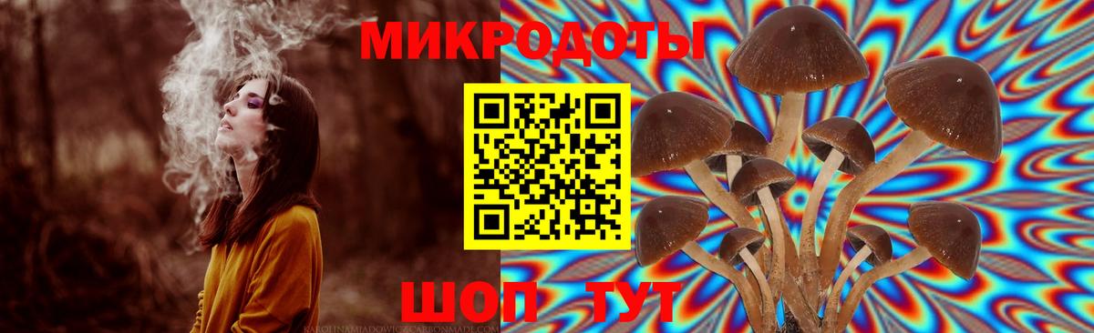 Псилоцибиновые грибы Cubensis Махачкала
